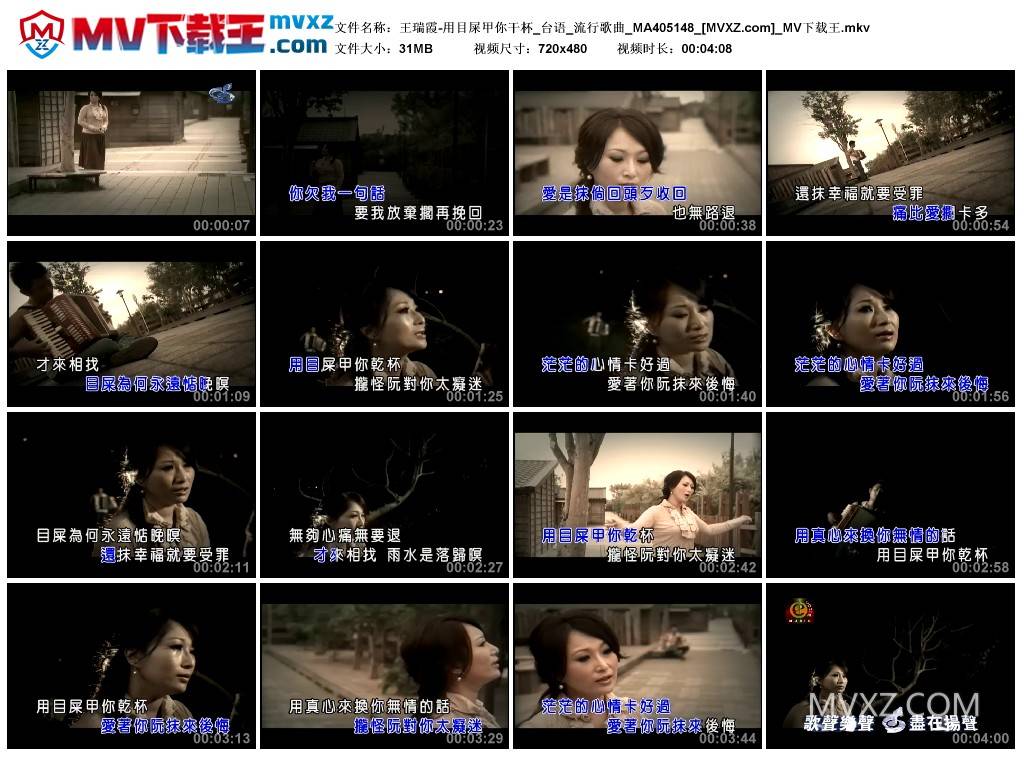 王瑞霞-用目屎甲你干杯_台语_流行歌曲_MA405148